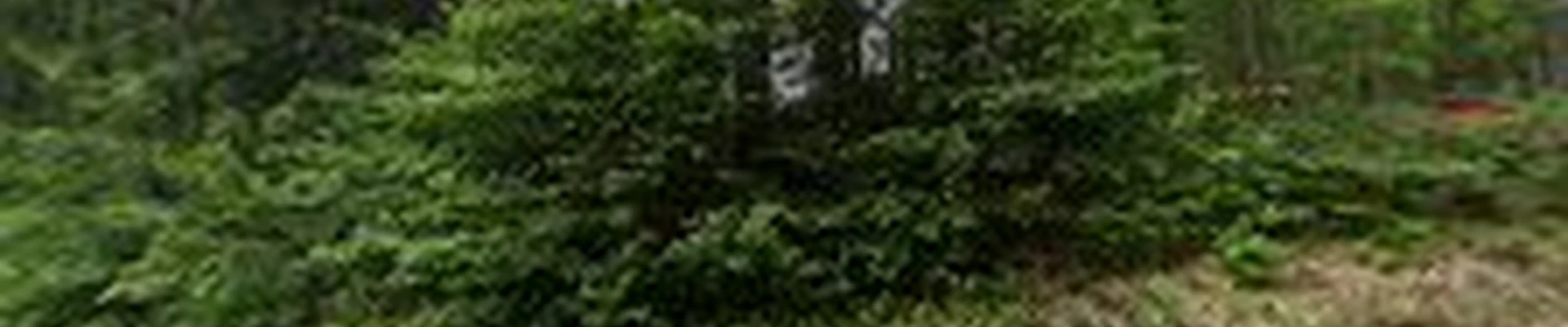 TNT Landscaping
