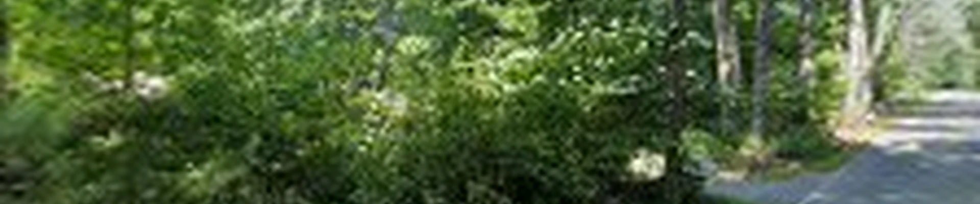 White Mountain Excavation LLC
