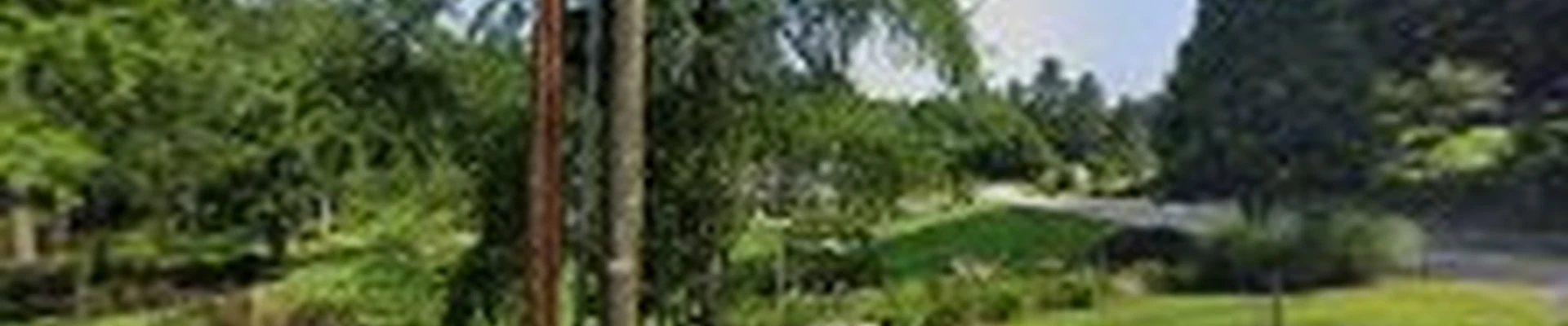 Scenic Nursery and Landscaping