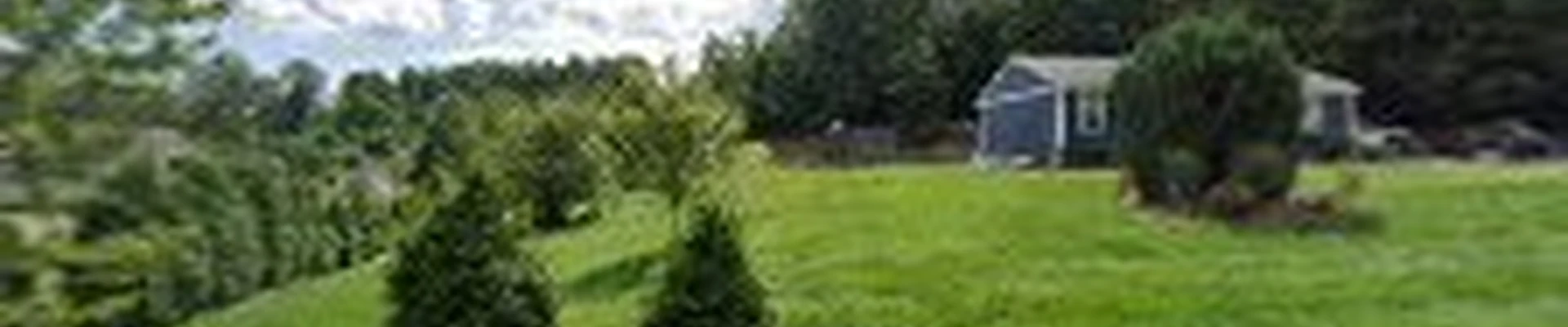 Green Tiger Landscape LLC