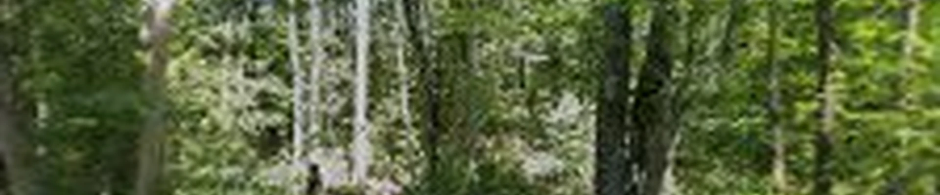 Wielock Site Work & Landscaping