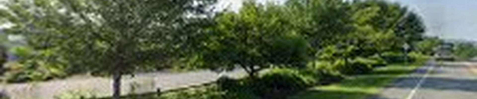 Green Mountain Landscaping