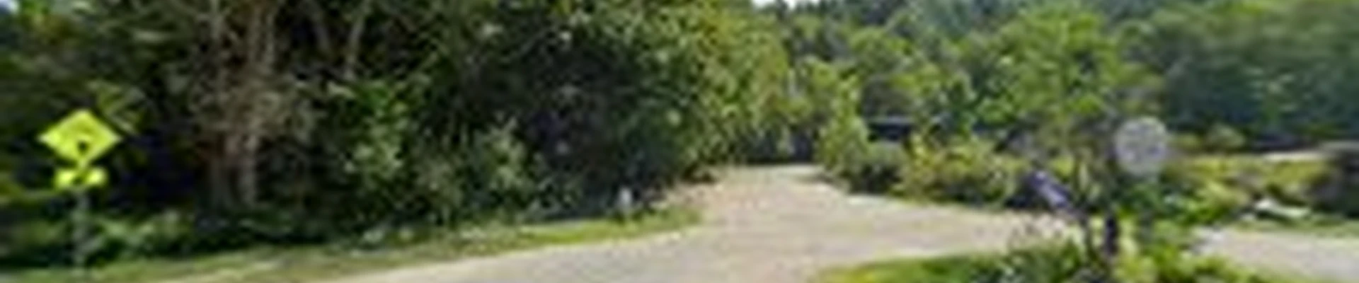 Appalachian Landscaping/ Mad Trees Nursery