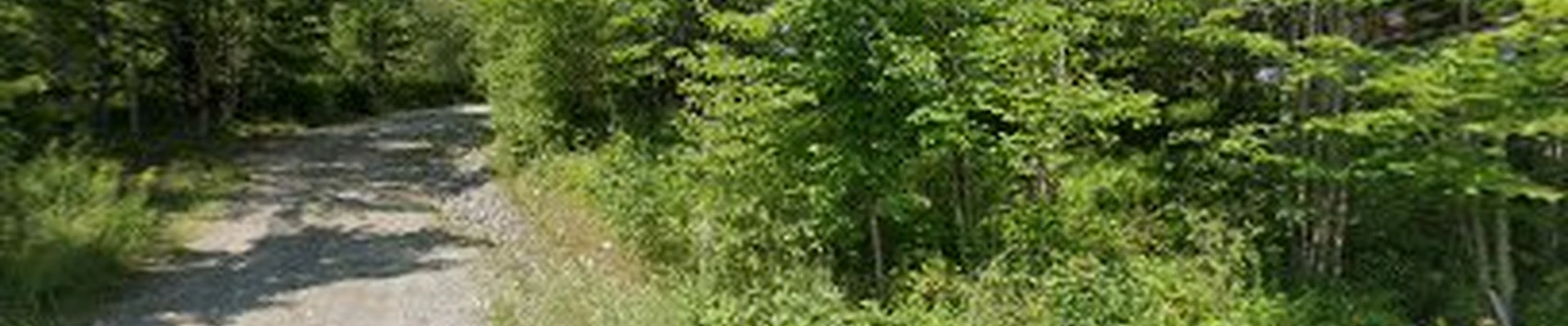 R.C. Landscapes