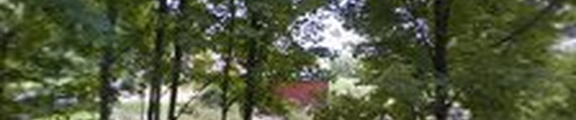 Ecotone Landscapes & Tree Care