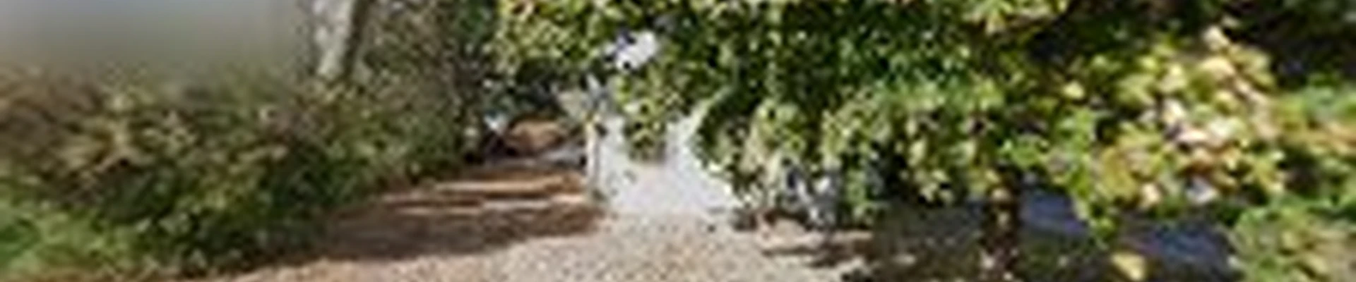 Wagner's landscaping LLC