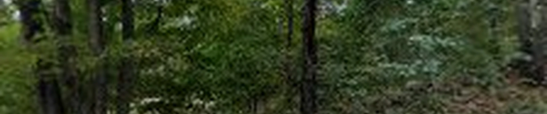 Landscape Solutions Property Service