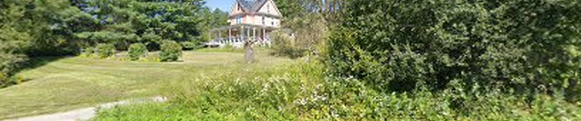 Mountain Roots Property Care