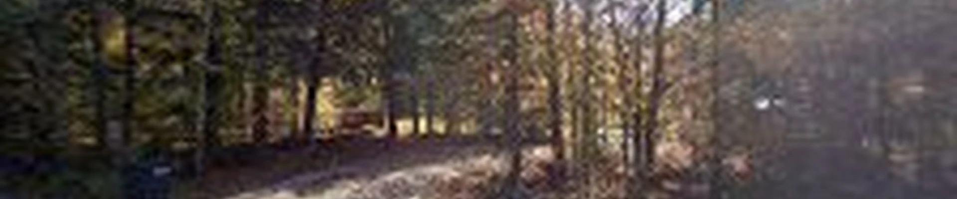 Home Maintenance Associates Inc.