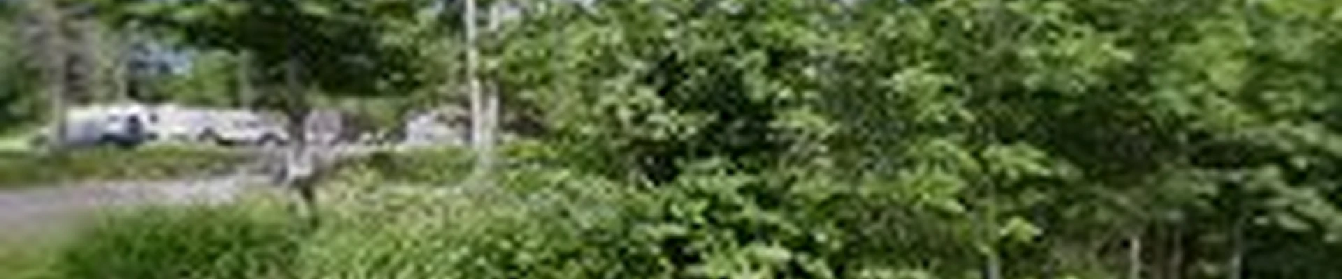 Randy's Maintenance Plus, Inc