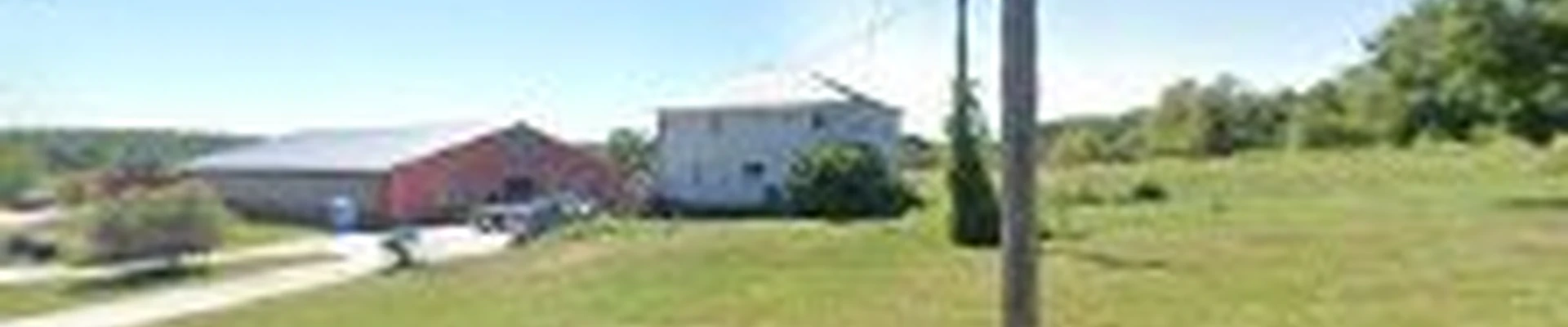 Green Giant Arborists LLC