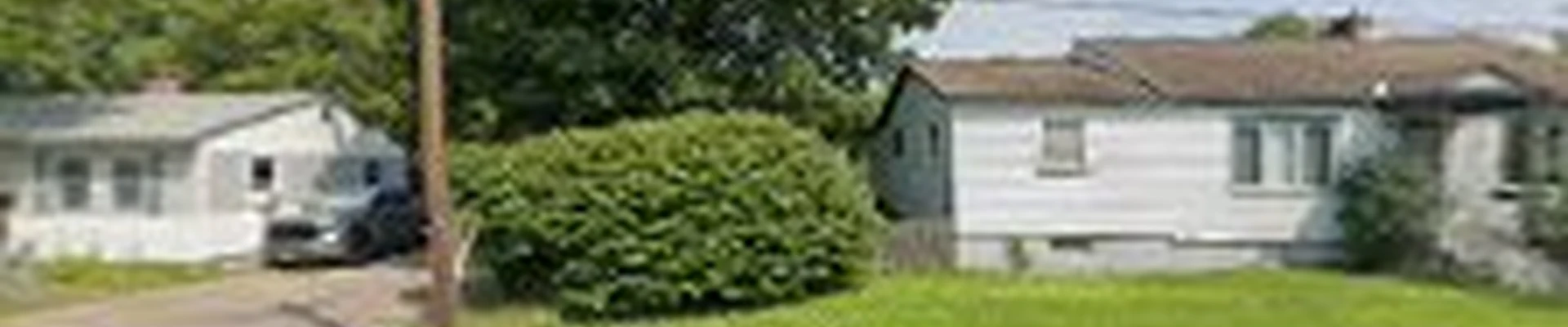 Alexander Tree Service