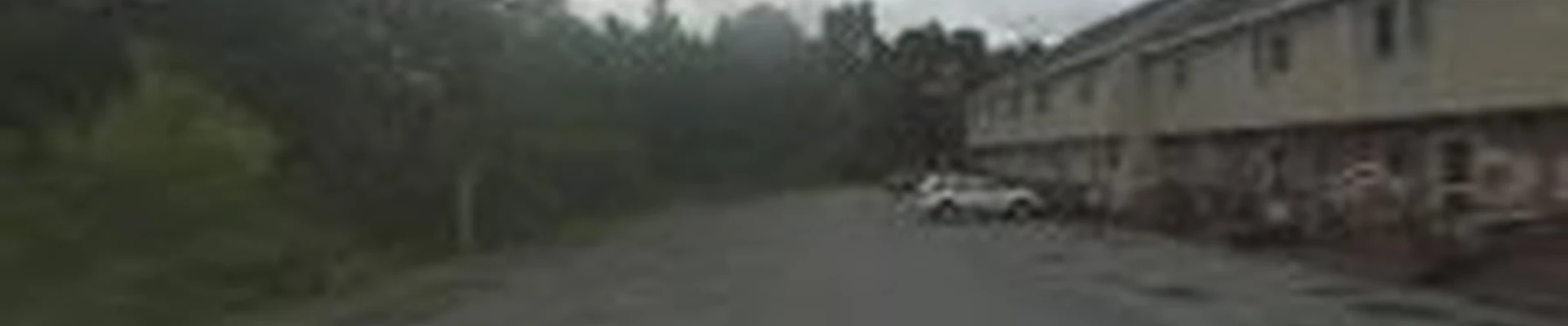 6-0-TREE