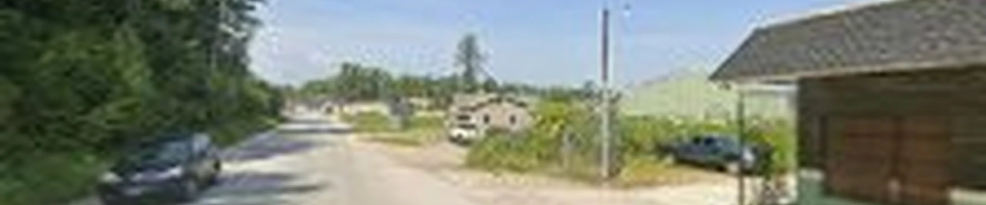 Trees Incorporated