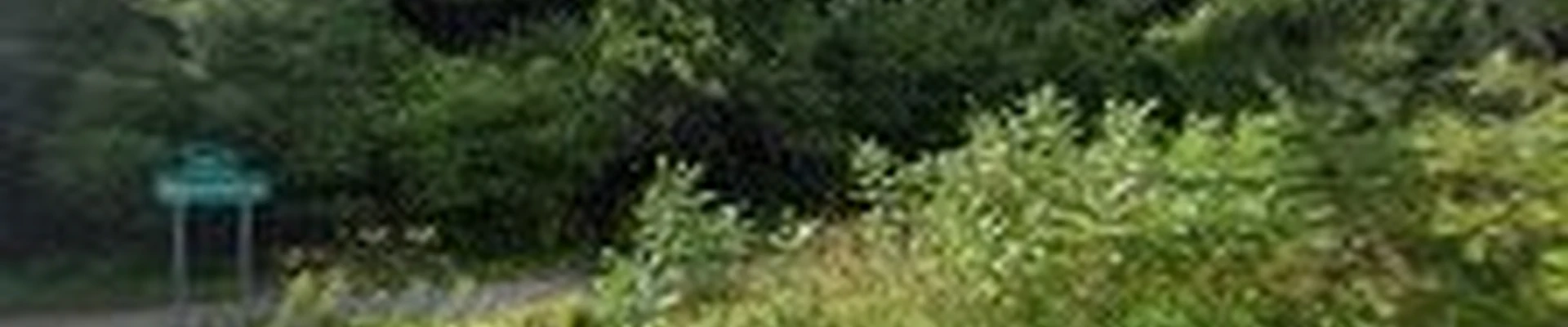 Jensen Tree Care
