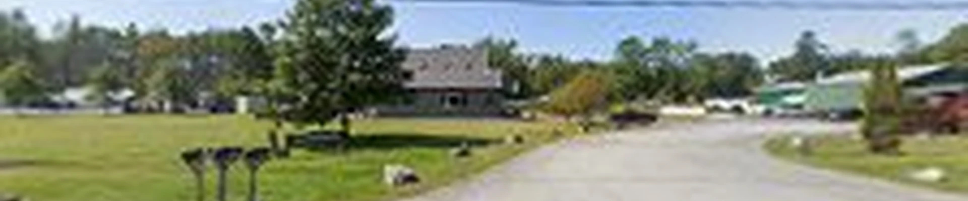 Thomson Tree Service & Excavation