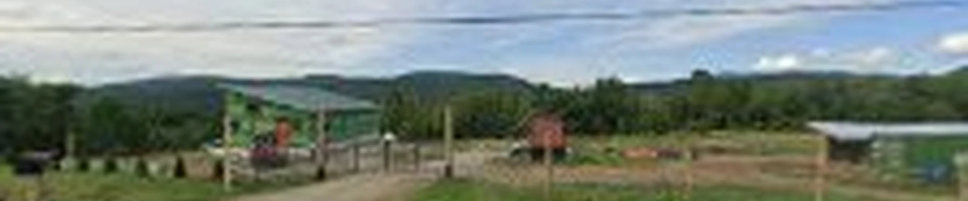 Small Town Tree Service, LLP