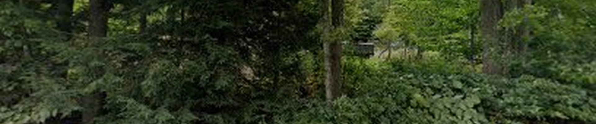 Vermont Tree Co. LLC