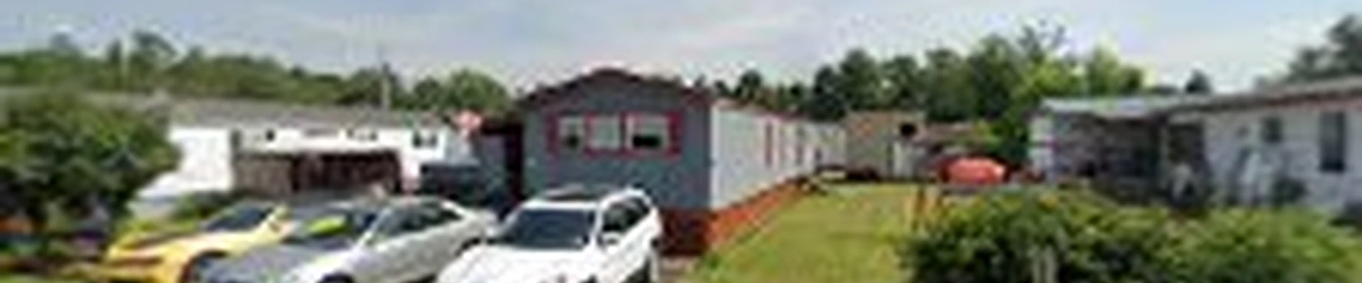 Ed’s top notch tree service & stump grinding