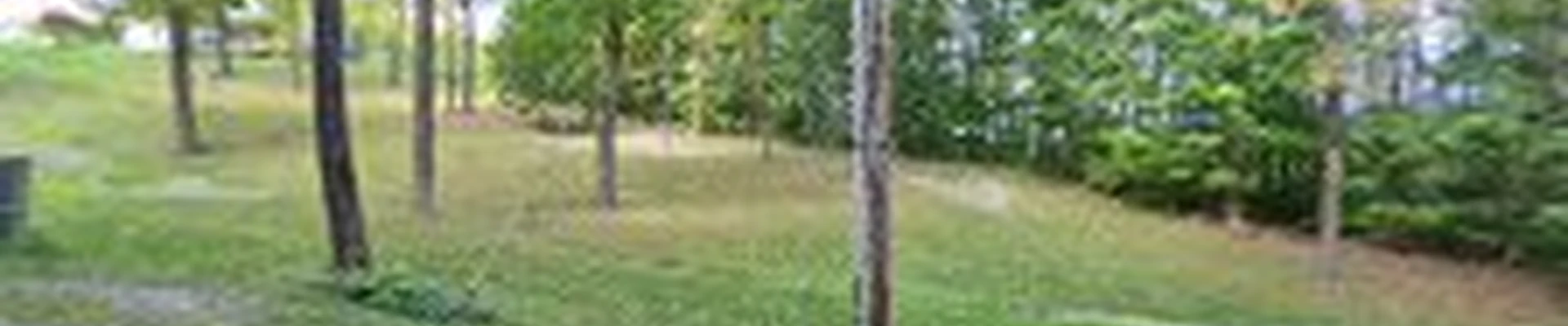 Wagner Tree Care