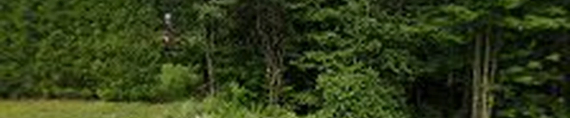 Havreluk Tree and Property Management