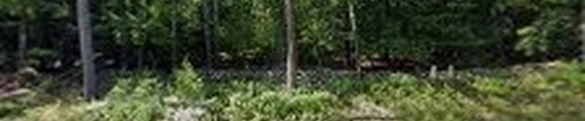 Valley Tree Pros and Excavation