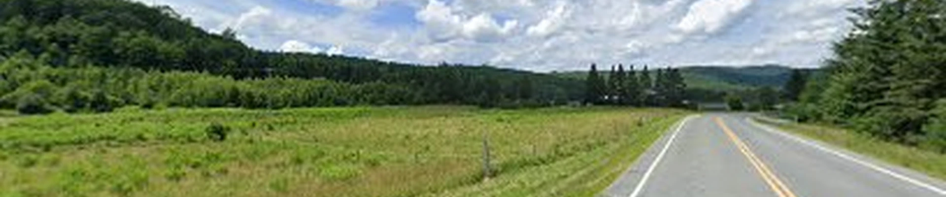 North Country Tree Care