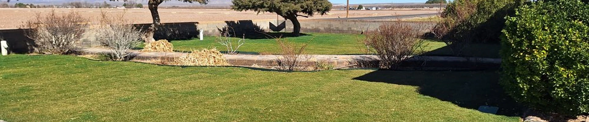 Ruiz Simple Lawn Care