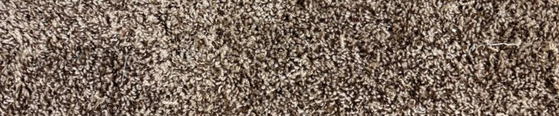 Carpet Experts