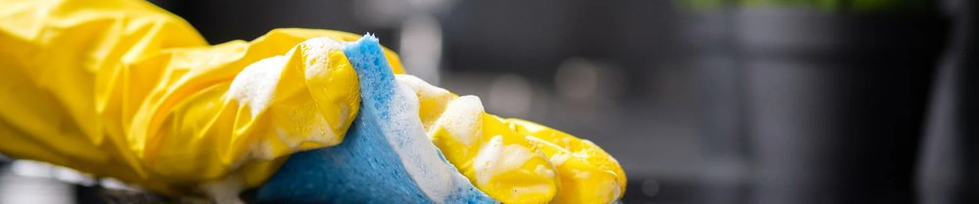 MasterPro Cleaning Service