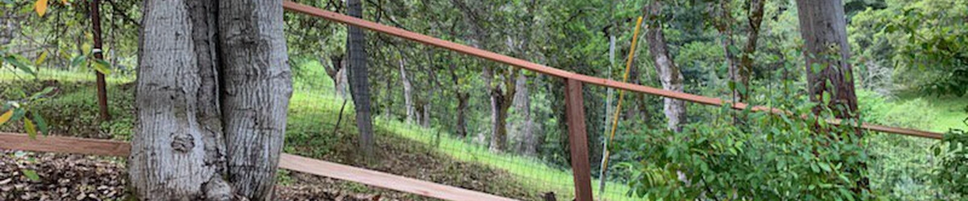 Tioga Lumber And Fence