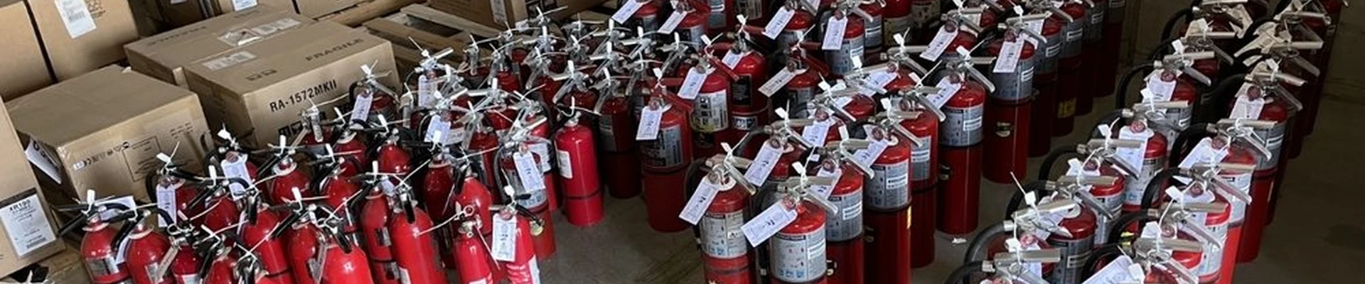 Dynamic Fire Safety