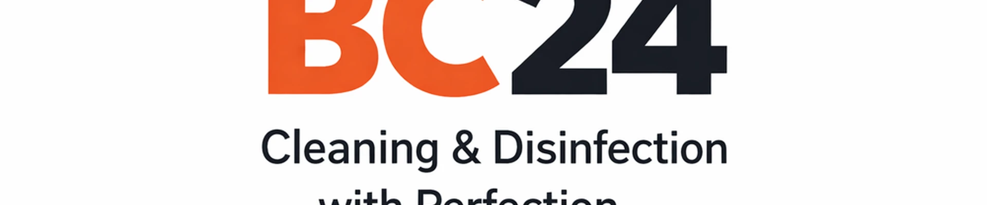 Beyond Cleaning 24