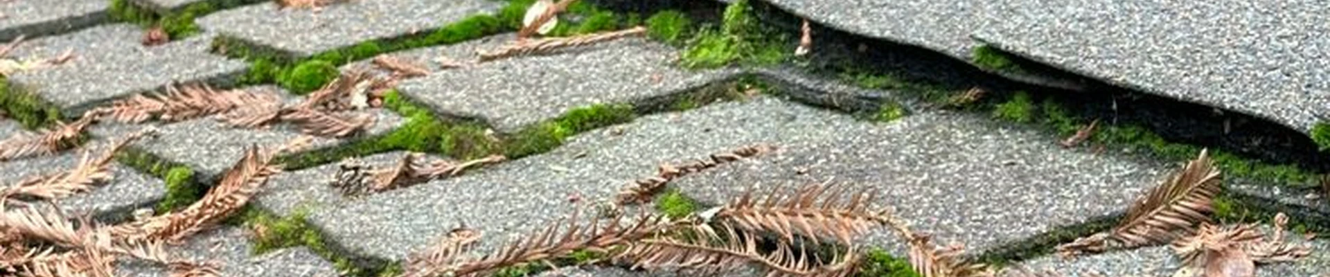 Infinite Roofing Solutions