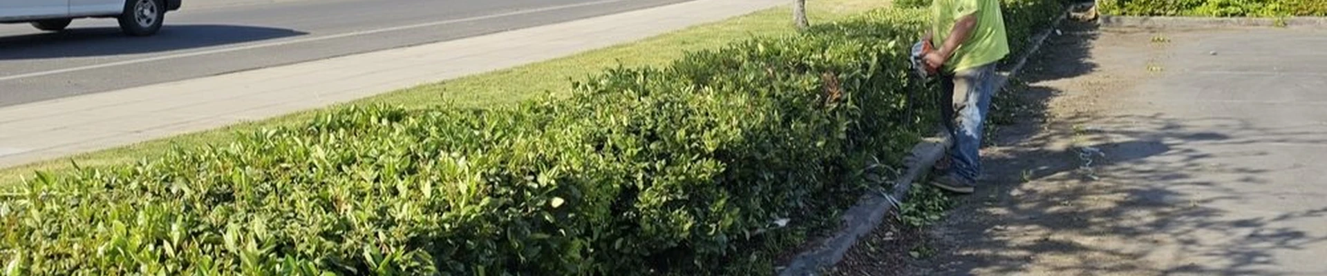 Northcali Landscaping & Tree Services