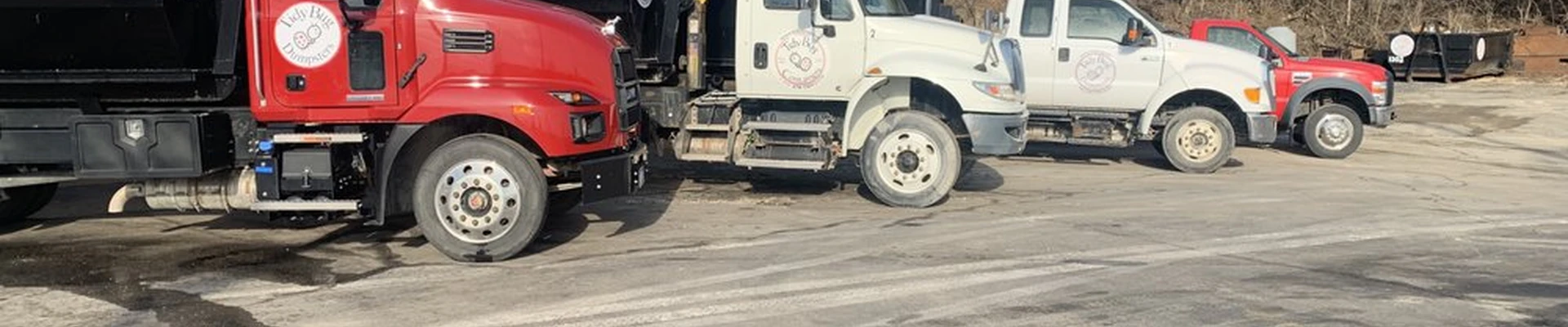 Tidy Bug Dumpsters
