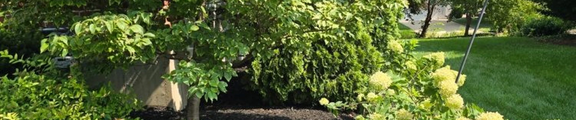 Wilson Loyalty Landscaping Services