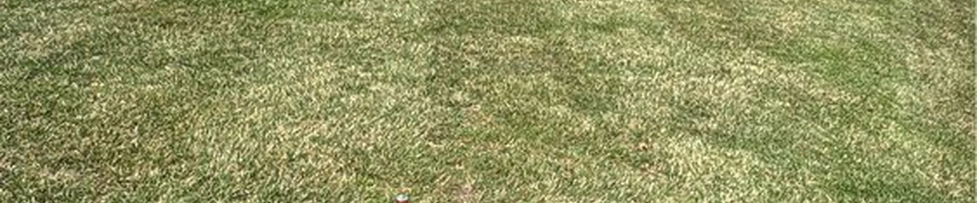 Clean Landscaping