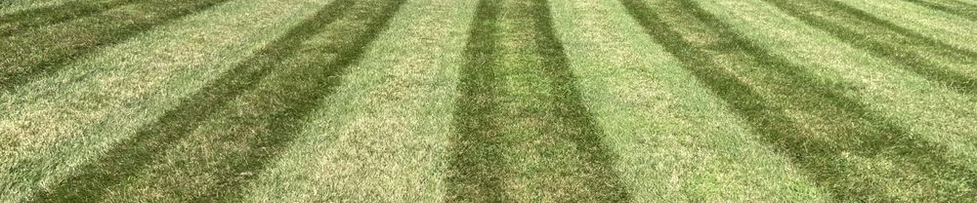 Lawns Unlimited