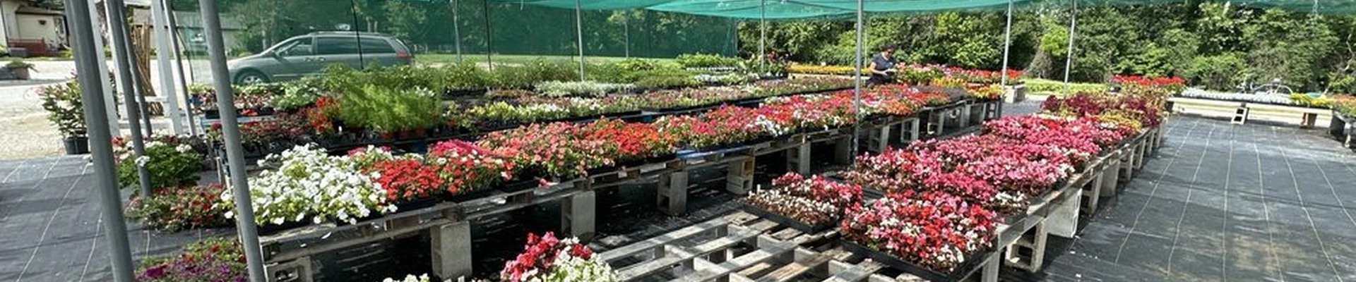 Thies Farm and Greenhouses