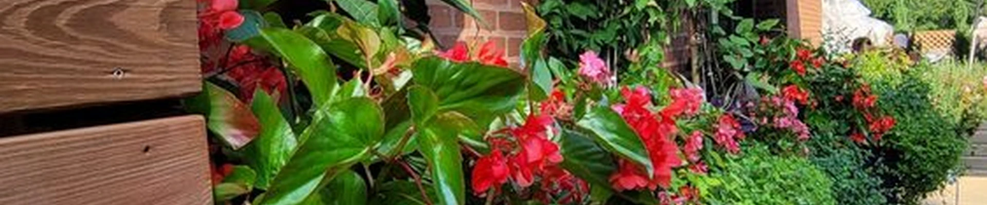 Rolling Ridge Nursery