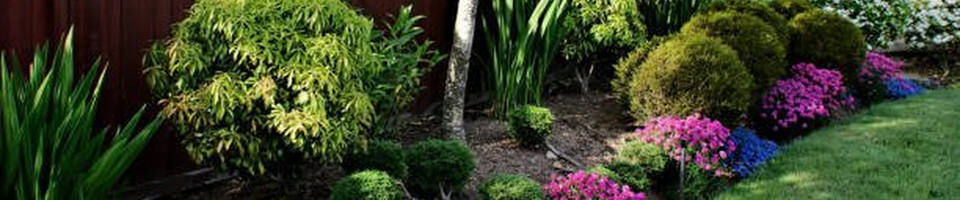Bad Boys Lawn And Landscaping
