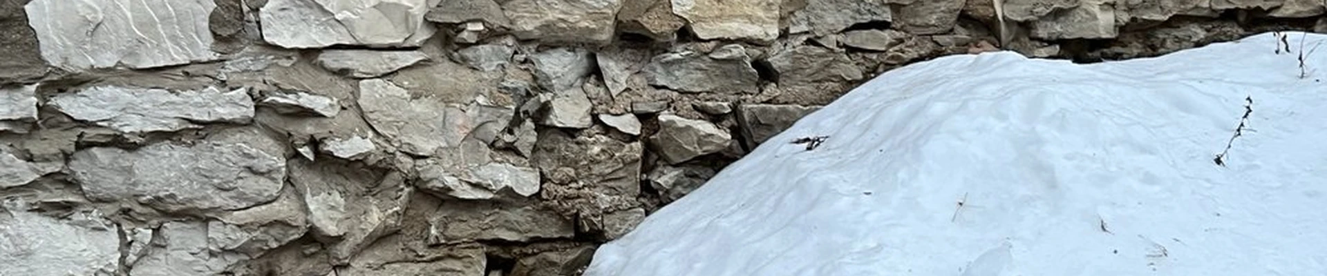Irish Construction