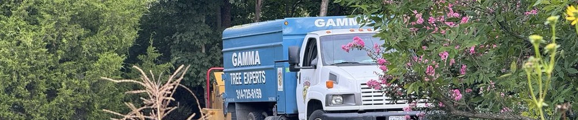 Gamma Tree Experts