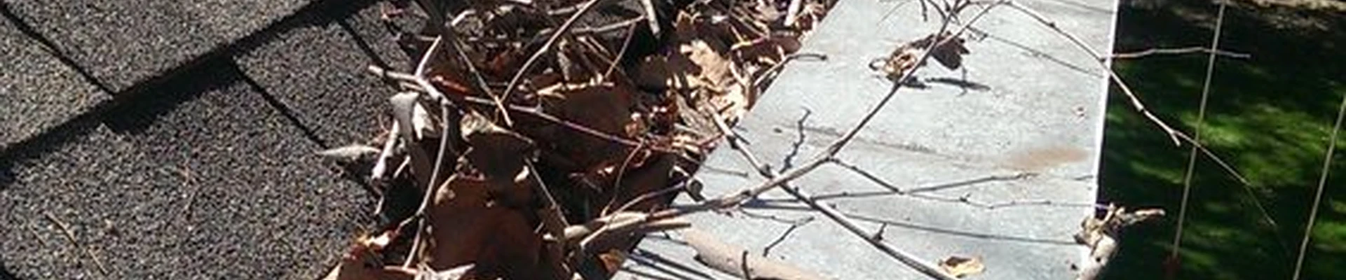Gutter Flushers