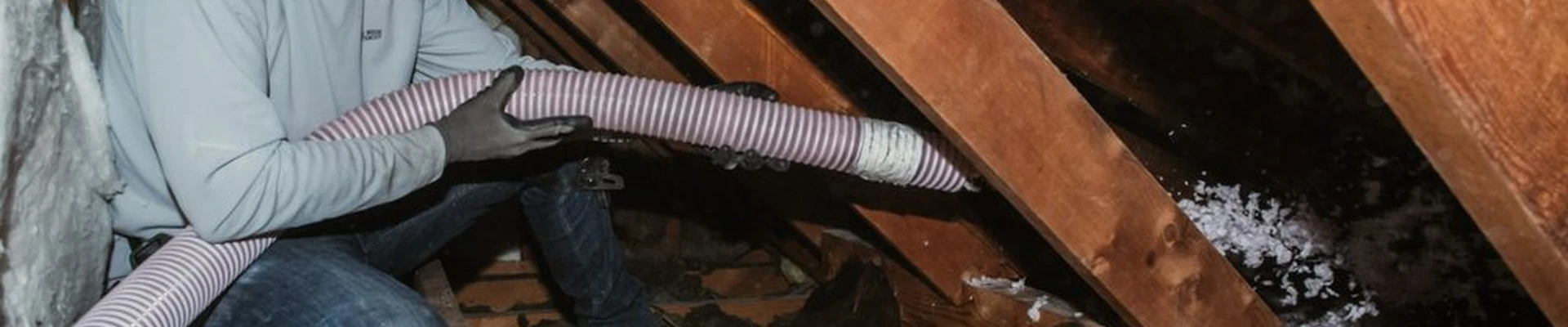My Insulation Guy