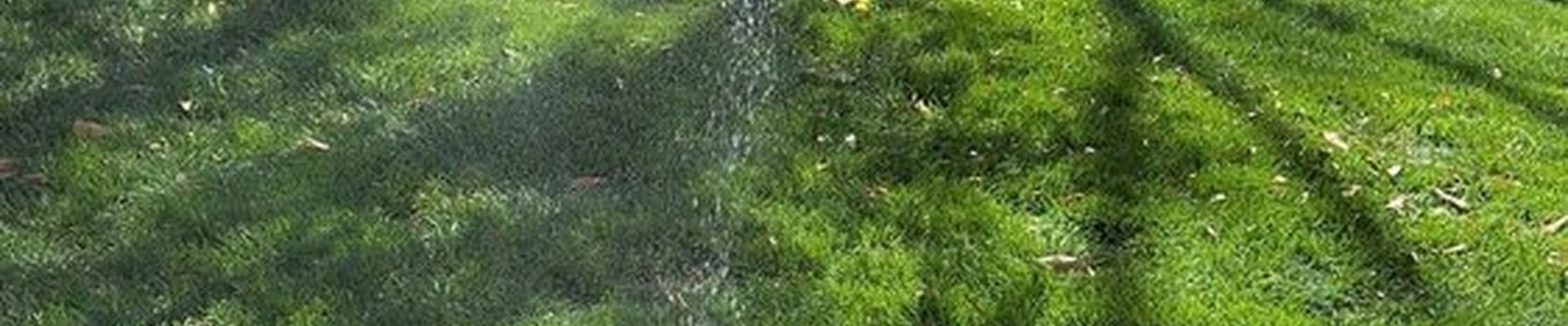 Yosemite Falls Irrigation