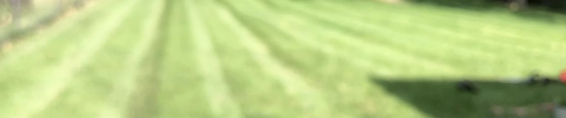 The Lawn Fellaz