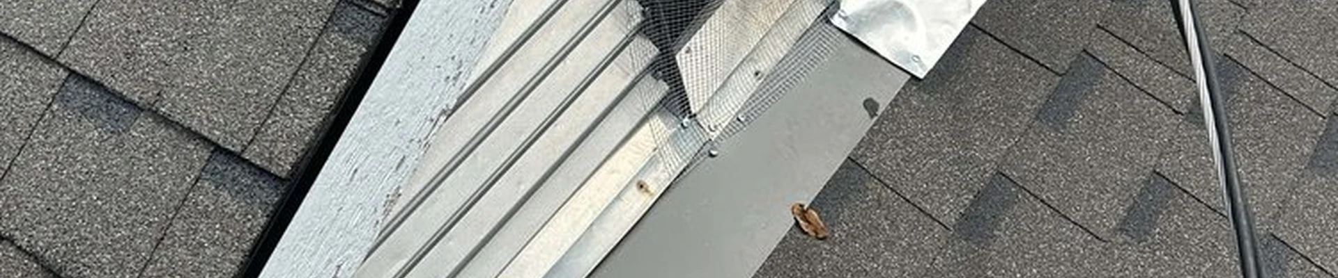 Titan Pest Pro
