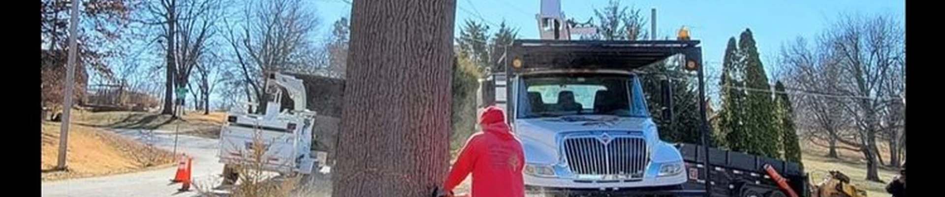 Rene Martine Tree Service KC
